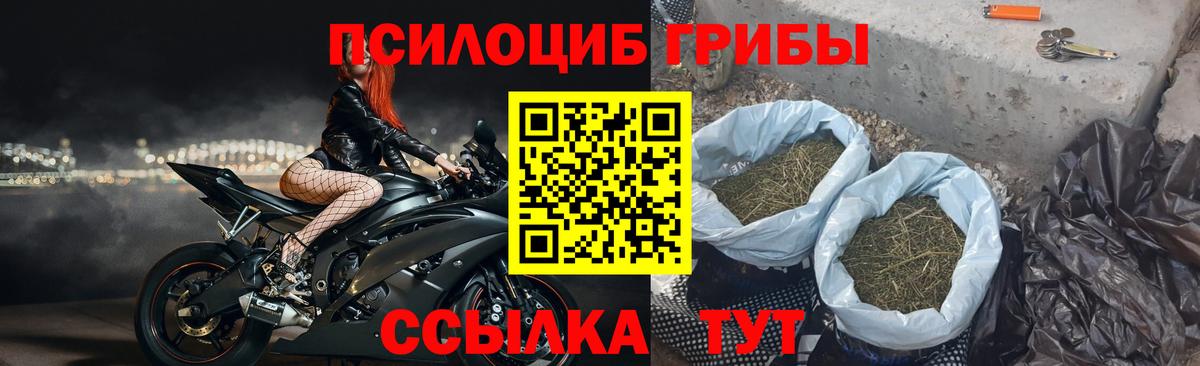 Псилоцибиновые грибы MAGIC MUSHROOMS  Вход с VPN  Татарск 